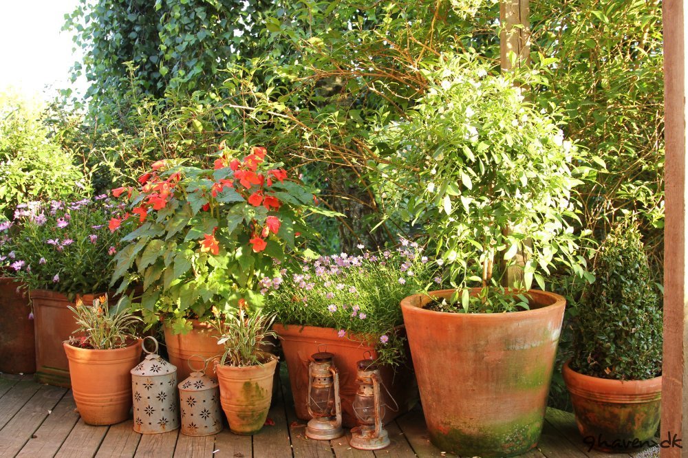 Den hvide vest terrasse