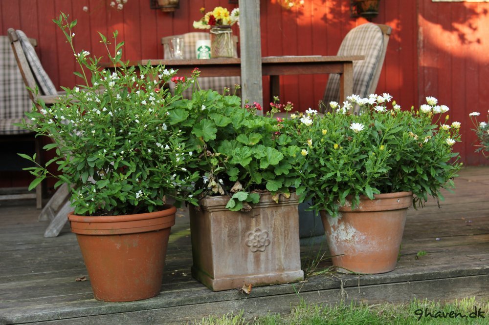Den hvide vest terrasse