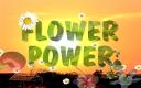 flower-power.jpg