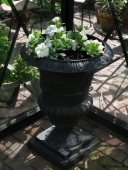 Petunia i jernkrukke