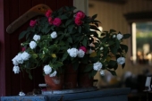 img_6416-web