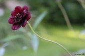 img_6438-web
