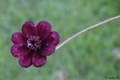 img_6439-web