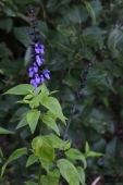 img_6492-6532-web