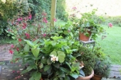 img_6562-6562-web