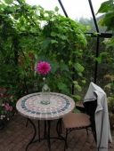 Drivhuset inde