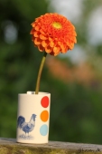 Dahlia i frk. Toft vase
