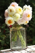 Dahlia i vase