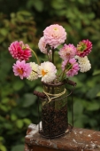 Dahlia i vase