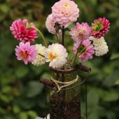 Dahlia i vase