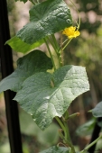 img_1729-web