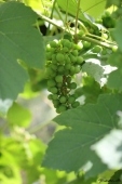 img_1730-web