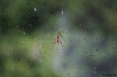 img_2787-web