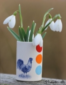 Vintergække i vase