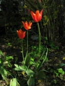 3-5-08_0001