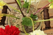 Dahila i vase