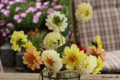 Dahlia i vase