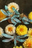 Guldsmede og Dahlia