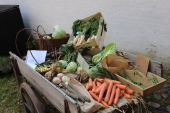Fra Den Gamle By