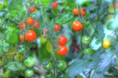 img_5782_3_4enhancer