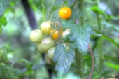 img_5788_89_90enhancer