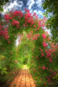 img_5834_5_6enhancer