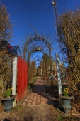 HDRi rosenbue