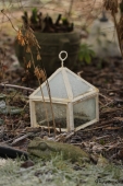 Mini drivhus