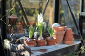 Lampe og blomster på plantebord