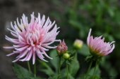 img_0258-web