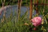 img_0313-web