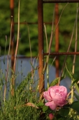 img_0314-web