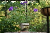 img_0320-web