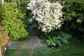 img_0338-web