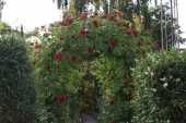img_0345-web