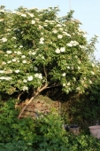 img_0352-web