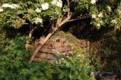 img_0354-web