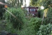 img_0359-web