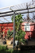Nyt terrassetag