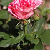 img_1942-web