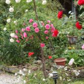 img_1995-web