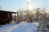 Snedækket baghave