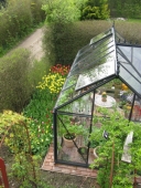 Tulipaner og drivhus