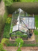 Tulipaner og drivhus