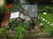 Tulipaner