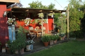 Vest terrasse