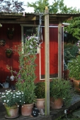 Vest terrasse