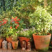 Vest terrasse